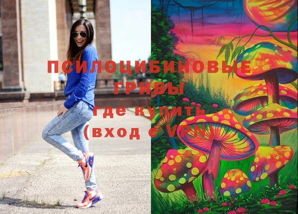 спиды Надым