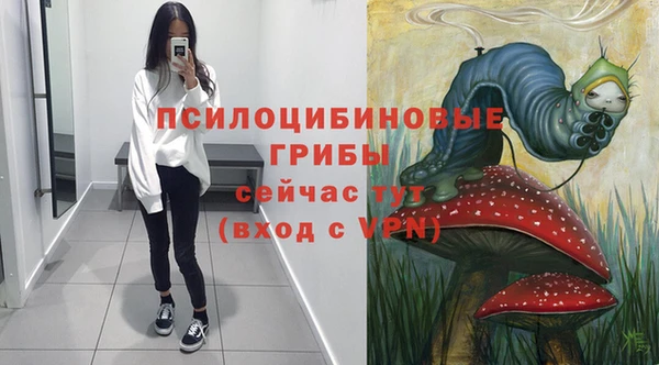 спиды Надым
