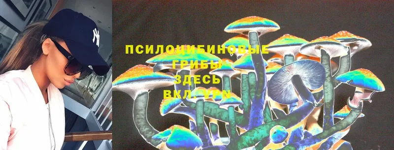 сколько стоит  Вологда  Галлюциногенные грибы MAGIC MUSHROOMS 