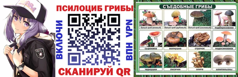 Галлюциногенные грибы прущие грибы  Вологда 