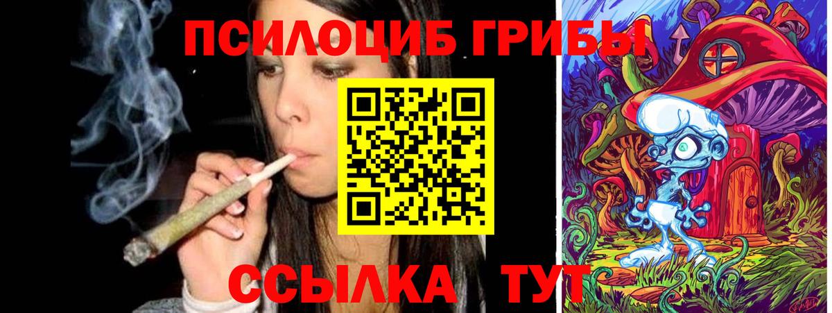 Галлюциногенные грибы MAGIC MUSHROOMS Вологда
