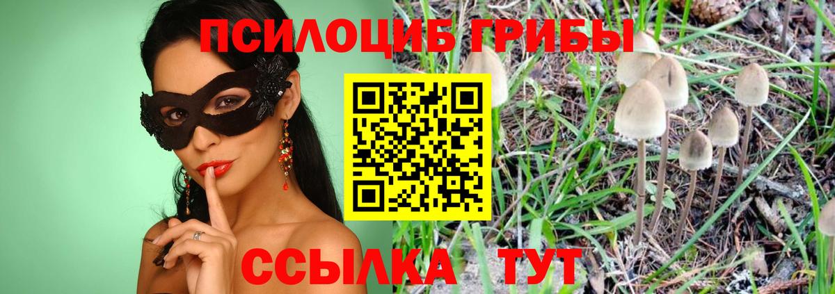 Вологда  даркнет сайт  Вход с VPN  Псилоцибиновые грибы мухоморы 