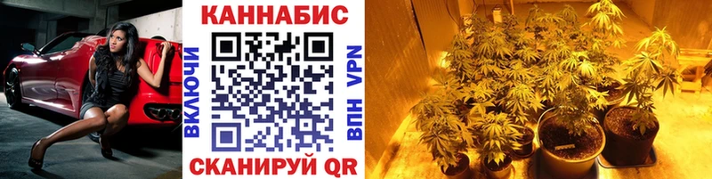наркотики  Вологда  МАРИХУАНА семена 